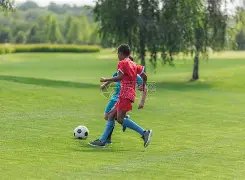 格林,将申京与约,基奇比较太,BB贝博艾弗森,BellBet,BB贝博艾弗森体育官网,BB贝博艾弗森官网,BB贝博艾弗森体育下载