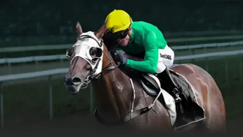 BB贝博艾弗森体育