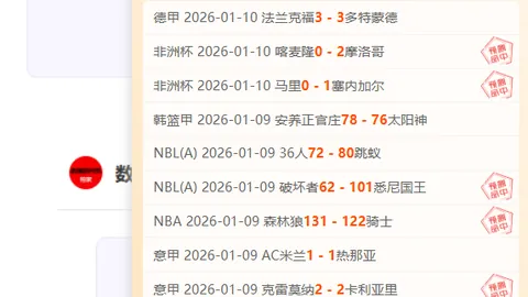 BB贝博艾弗森体育