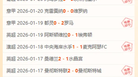 BB贝博艾弗森体育