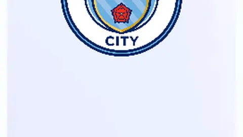 BB贝博艾弗森体育