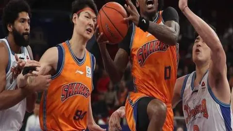 BB贝博艾弗森体育